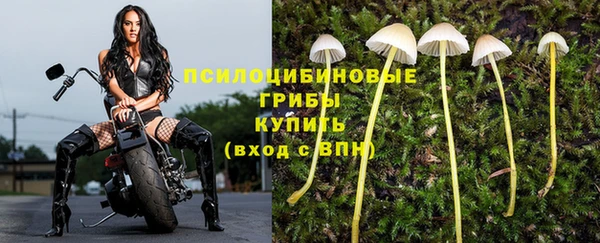 трава Слюдянка
