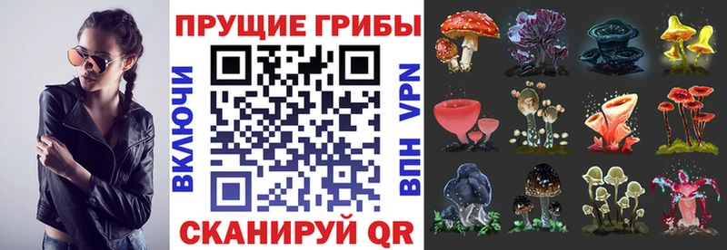 Галлюциногенные грибы прущие грибы  Купить закладки  Ликино-Дулёво 